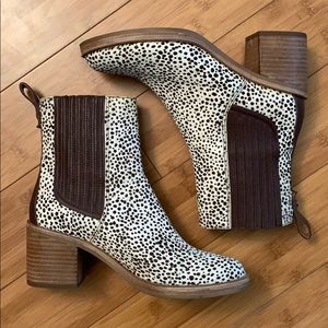UGG | Camden Exotic Boots